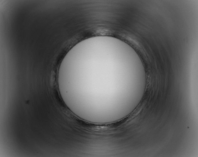 X0000088650361200705250946