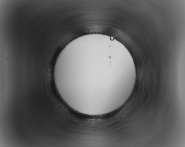 X0000088650362200705250946