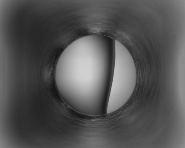 X0000088650364200705250946
