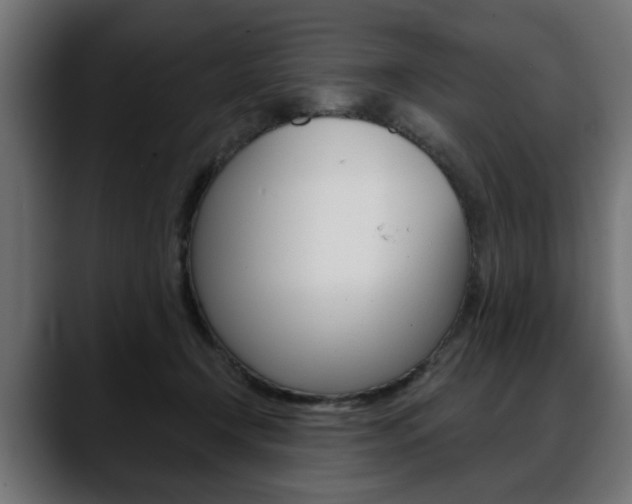 X0000088650366200705250946
