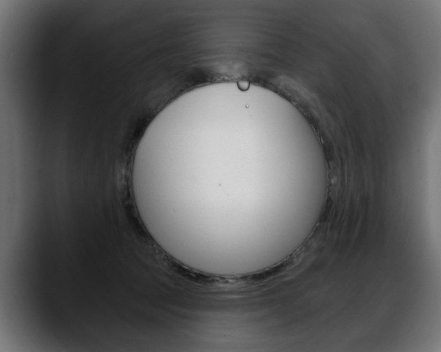 X0000088650369200705250946