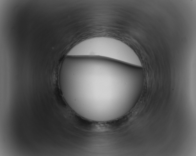 X0000088650372200705250946