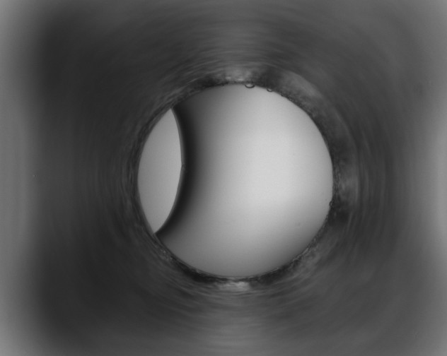 X0000088650374200705250946