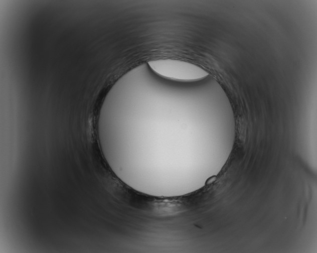 X0000088650378200705250947