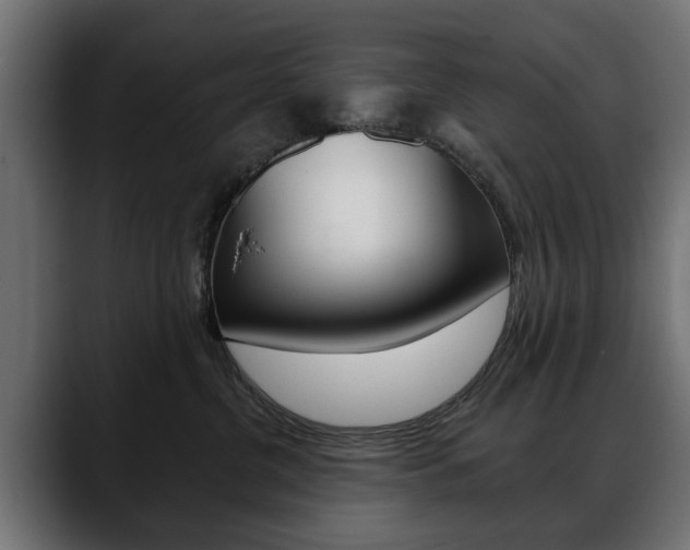 X0000088650380200705250947