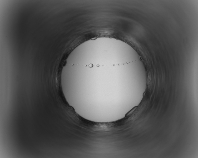 X0000088650381200705250947