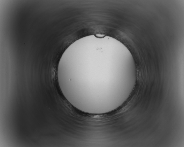 X0000088650382200705250947