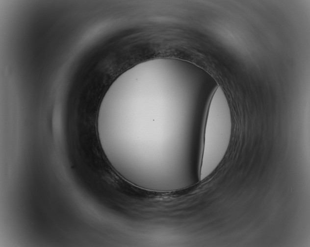 X0000088650383200705250947