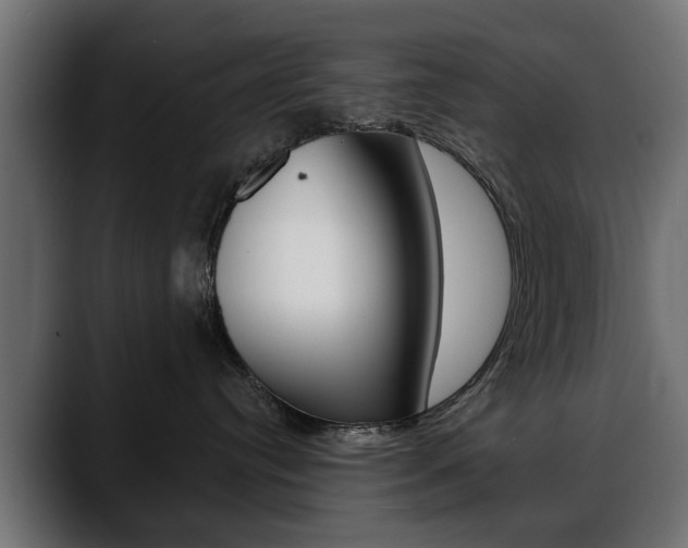 X0000088650384200705250947