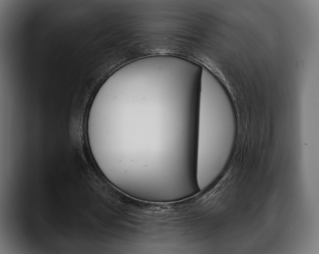 X0000088650386200705250946