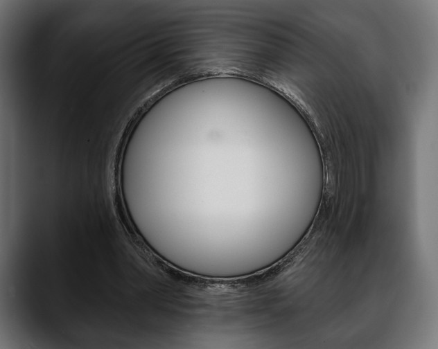 X0000088650390200705250946