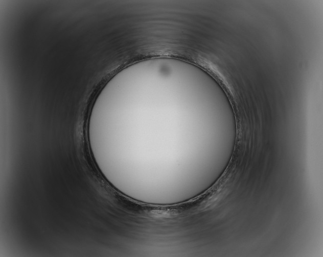 X0000088650394200705250946