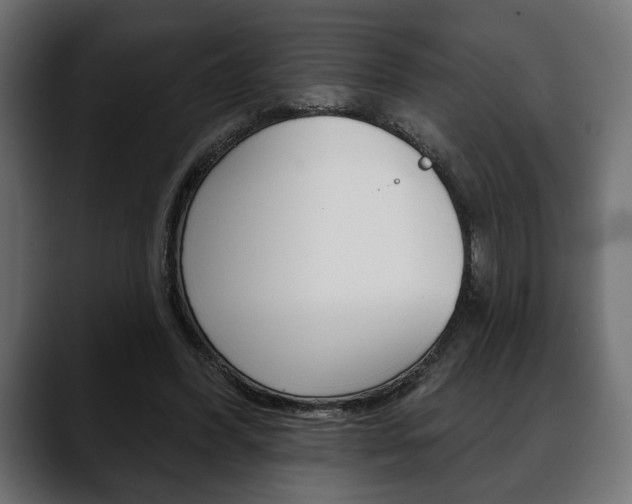 X0000088650396200705250946