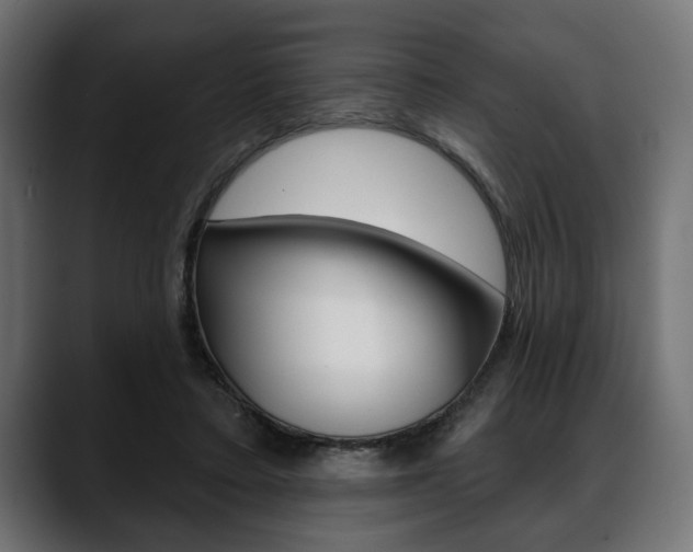 X0000088650403200705250946