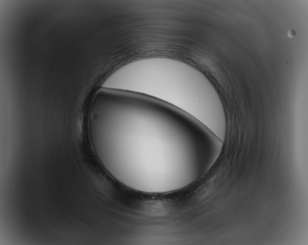 X0000088650404200705250946