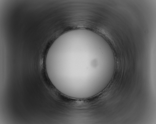 X0000088650406200705250946