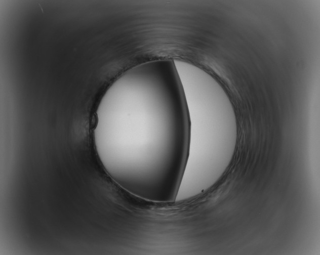 X0000088650407200705250946