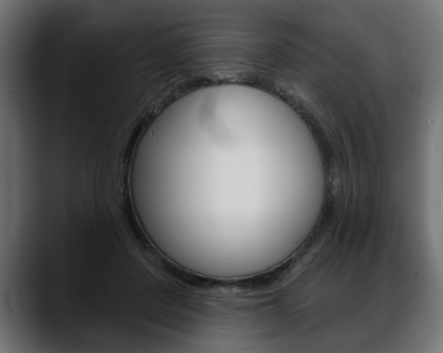 X0000088650408200705250946