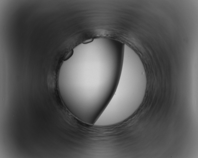 X0000088650413200705250946