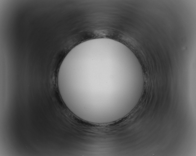 X0000088650418200705250946