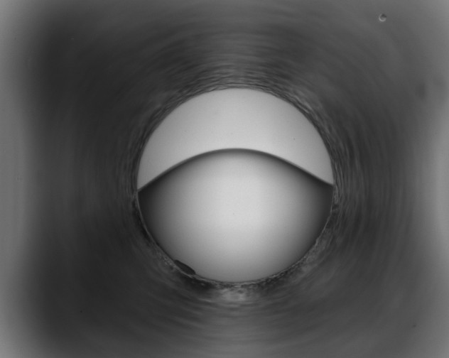 X0000088650423200705250945
