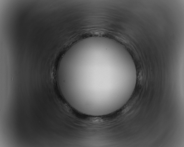 X0000088650424200705250945