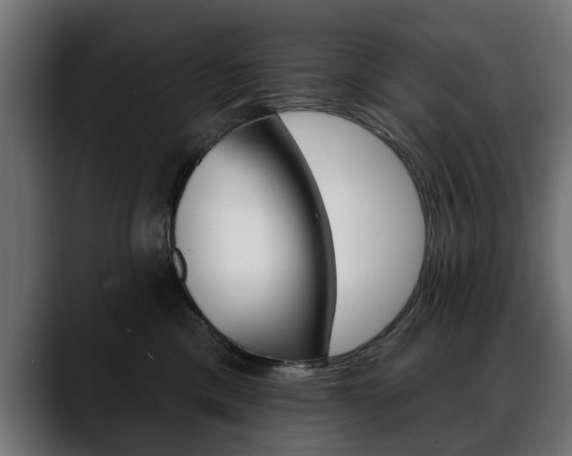 X0000088650425200705250945