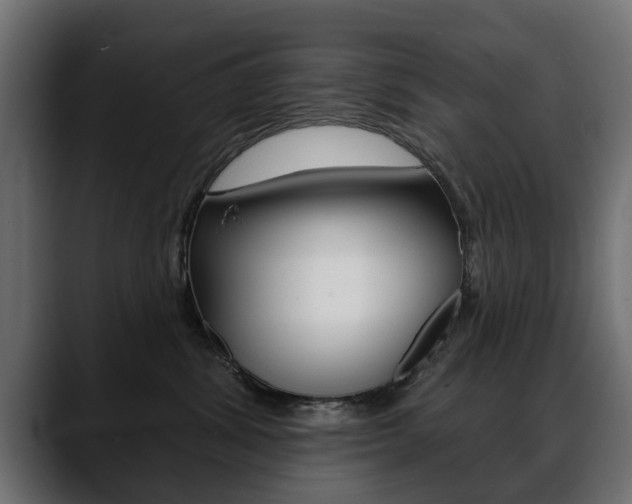 X0000088650428200705250945