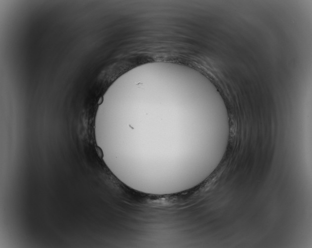 X0000088650430200705250945