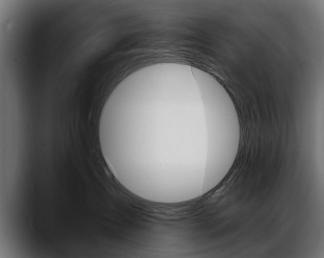 X0000088650431200705250945