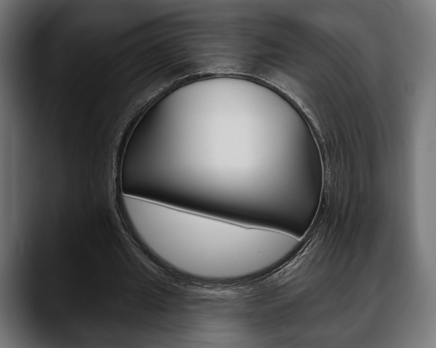 X0000088650437200705250945