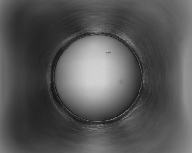 X0000088650438200705250945