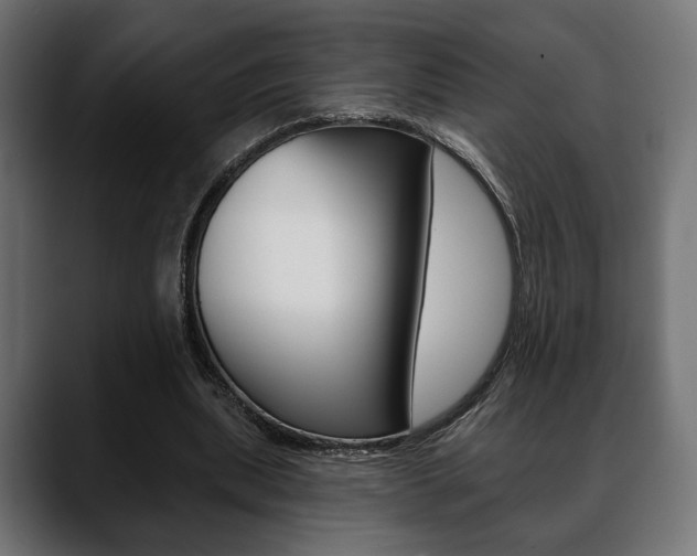 X0000088650439200705250945