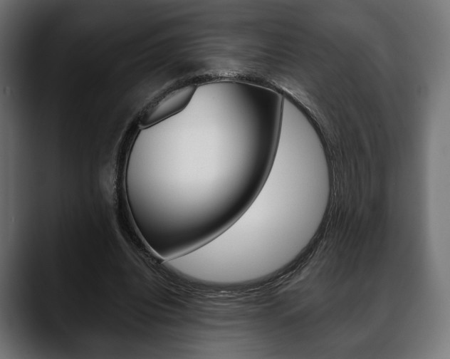 X0000088650440200705250945