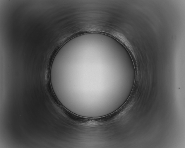 X0000088650441200705250945