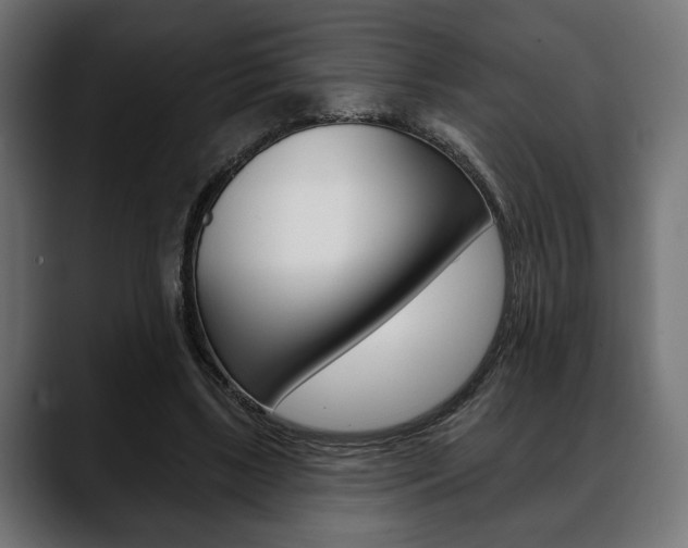 X0000088650443200705250945