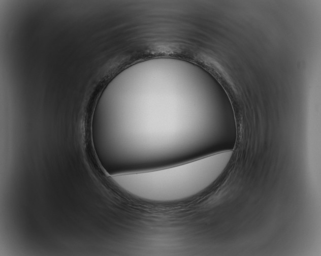 X0000088650444200705250945