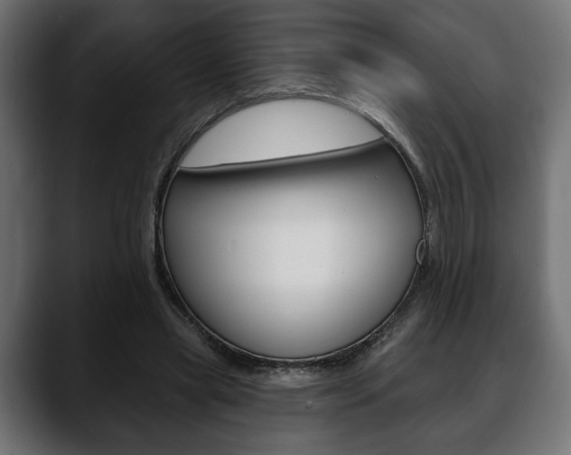 X0000088650445200705250945