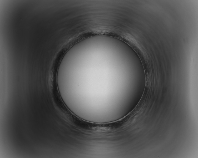 X0000088650448200705250945