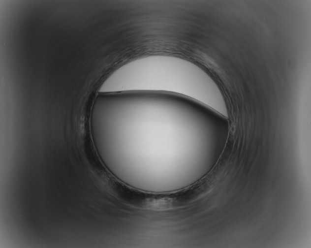 X0000088650452200705250945