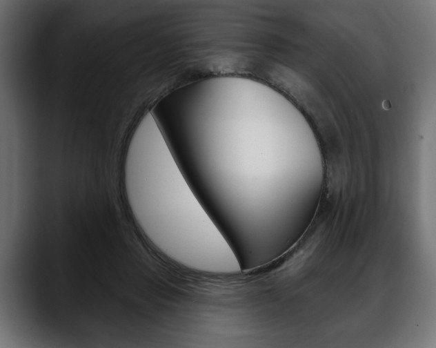 X0000088650453200705250945