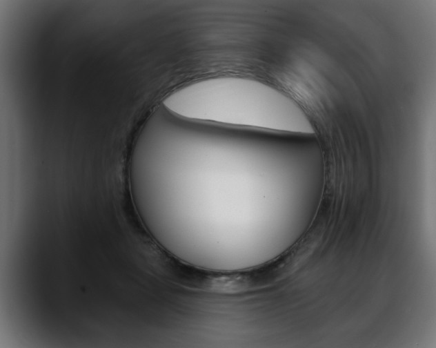 X0000088650461200705250945