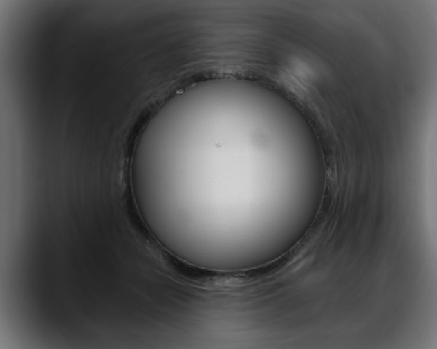 X0000088650462200705250945