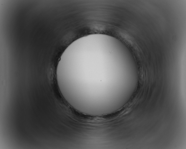 X0000088650463200705250945