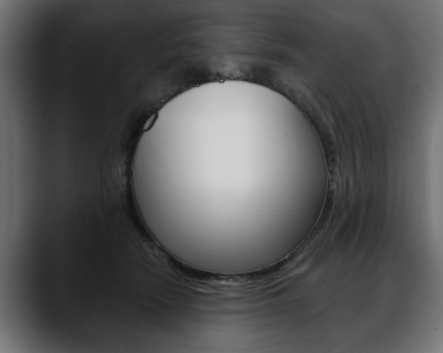 X0000088650466200705250945