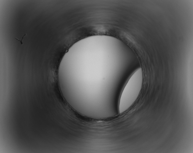 X0000088650467200705250945