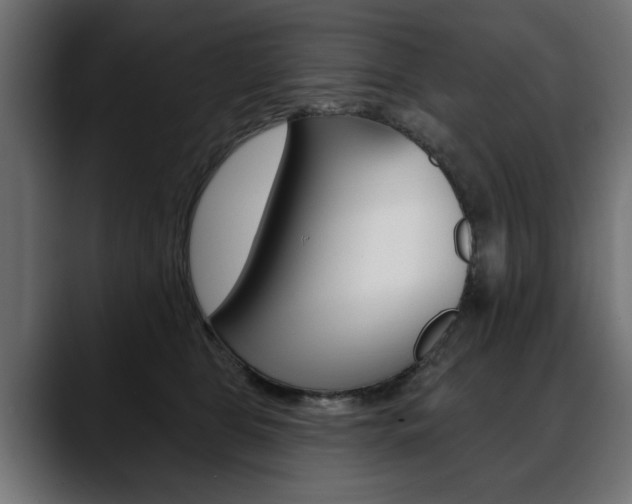 X0000088650469200705250945