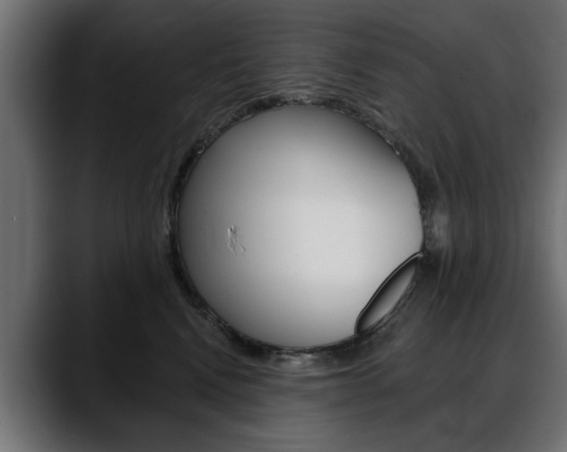 X0000088650472200705250945