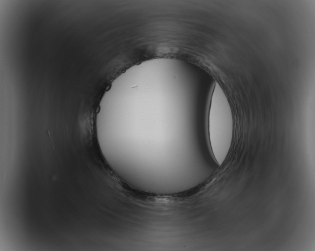 X0000088650475200705250945
