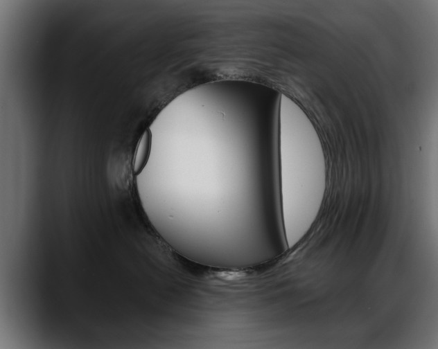 X0000088650478200705250945